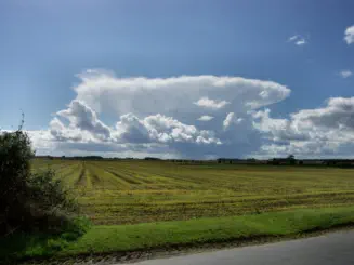 Fair Weather Clouds