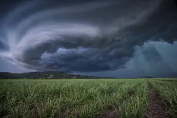 Forked Lightning