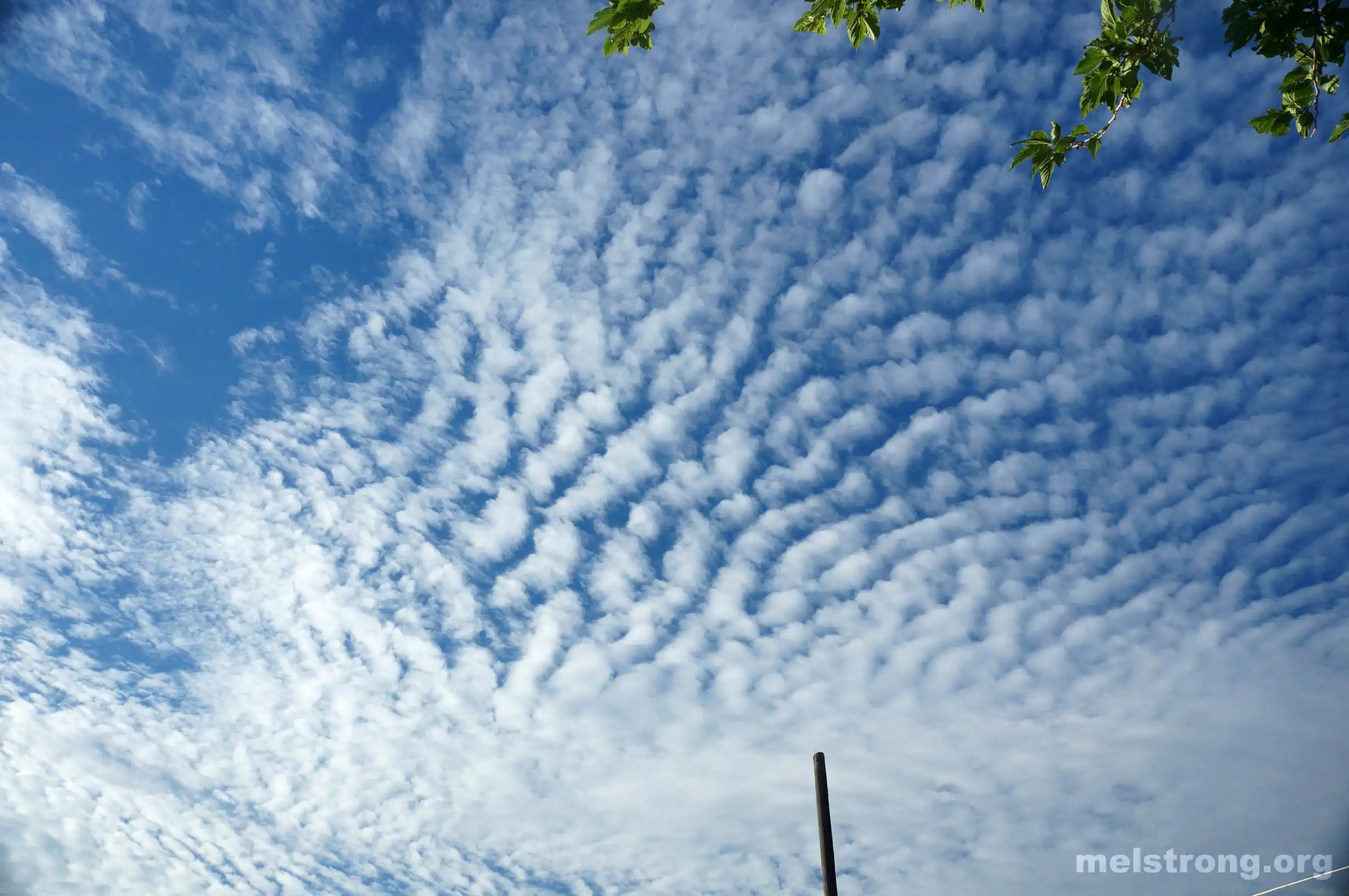 cirrocumulus cloud