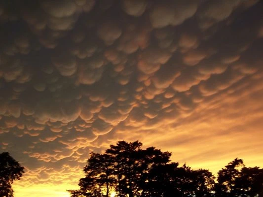 Mammatus cloud